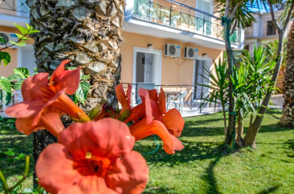 Olive Grove Apts Lithakia  Exterior photo